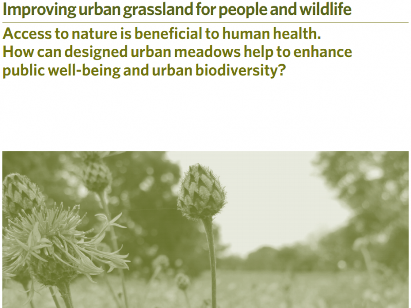 LWEC Policy & Practice Note: Improving urban grassland for people and wildlife